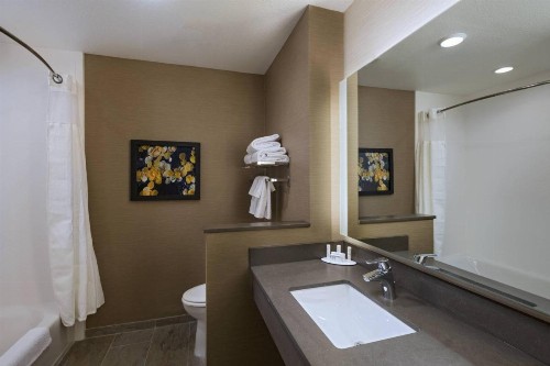 Fairfield Inn & Suites by Marriott Colorado Springs East - image 16