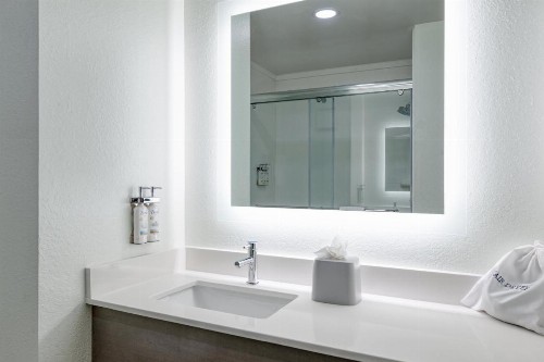 Holiday Inn Express Hotel & Suites Columbia-I-20 at Clemson Road an IHG Hotel - image 28