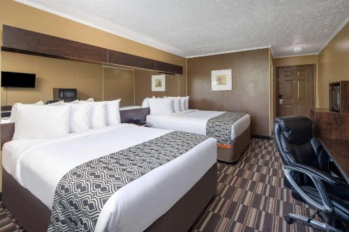 Microtel Inn by Wyndham Columbia Two Notch Road Area - image 22
