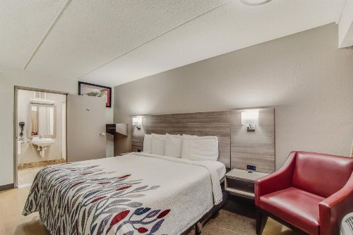 Red Roof Inn Columbia East - Fort Jackson - image 5