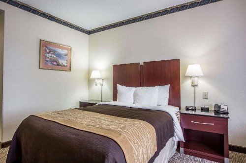 Comfort Inn & Suites Ft.Jackson Maingate - image 9