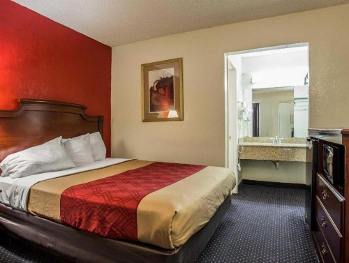 Econo Lodge Fort Jackson - image 20