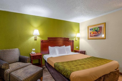 Rodeway Inn & Suites Fort Jackson - image 15