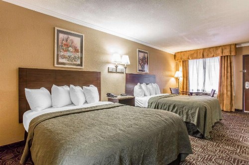 Quality Inn & Suites Ft. Jackson Maingate - image 29