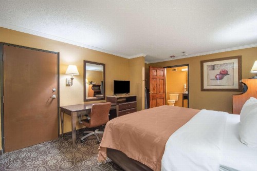 Quality Inn & Suites Ft. Jackson Maingate - image 36