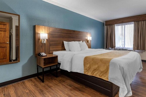Quality Inn & Suites Ft. Jackson Maingate - image 40