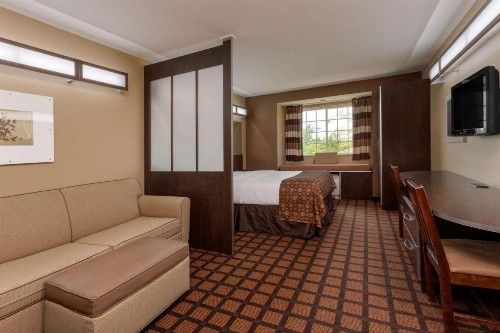 Microtel Inn & Suites by Wyndham Columbia - image 10