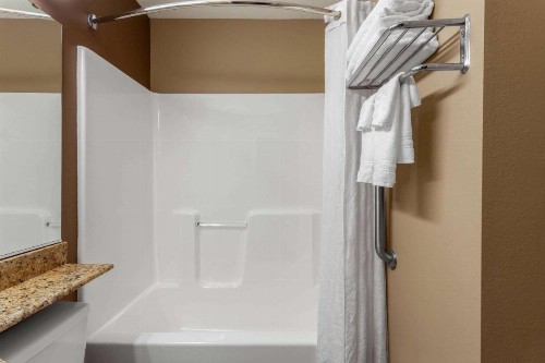 Microtel Inn & Suites by Wyndham Columbia - image 13