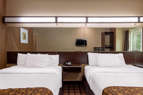 Microtel Inn & Suites by Wyndham Columbia - image 39