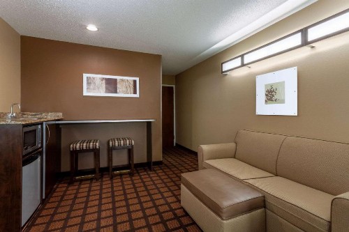 Microtel Inn & Suites by Wyndham Columbia - image 7