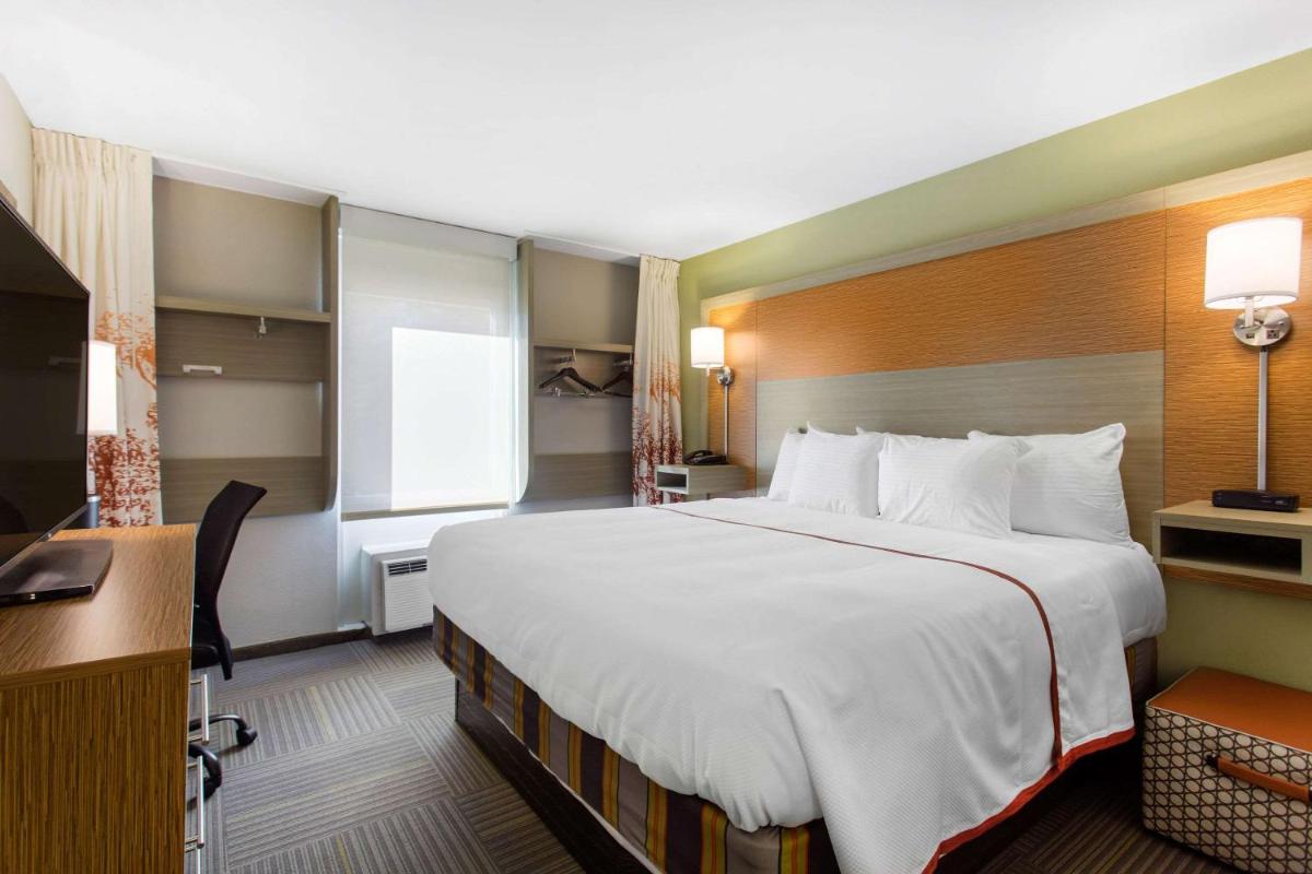 Gallus Stadium Park Inn Ascend Hotel Collection - image 6