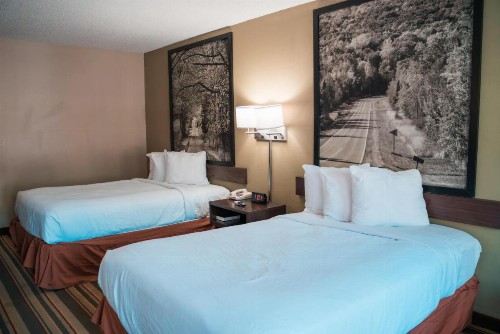 Super 8 by Wyndham Columbia/Ft. Jackson SC - image 23