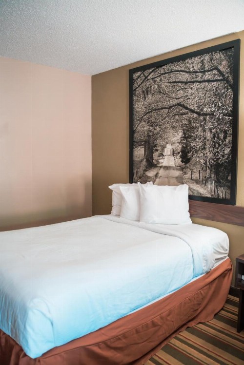 Super 8 by Wyndham Columbia/Ft. Jackson SC - image 35