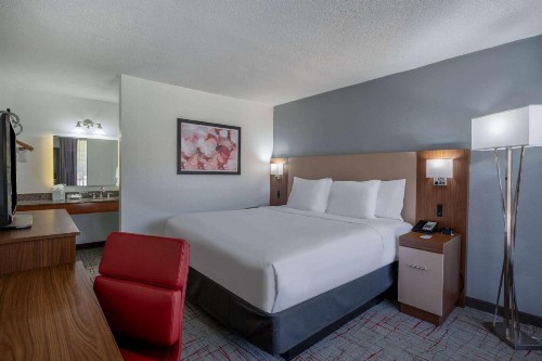 Red Lion Inn & Suites Columbia NE Ft Jackson - image 11