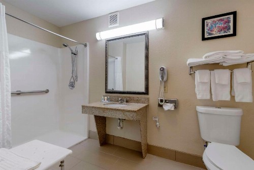 Comfort Suites Columbus State University Area - image 28