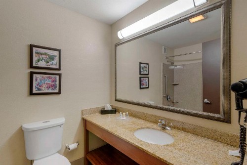 Comfort Suites Columbus State University Area - image 38