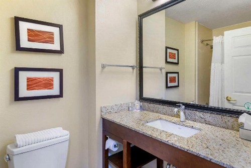 Comfort Inn Columbus - image 9