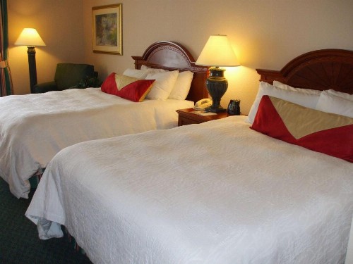 Hilton Garden Inn Columbus Airport - image 22