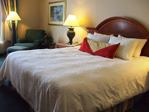 Hilton Garden Inn Columbus Airport - image 23