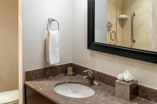 DoubleTree Suites by Hilton Columbus - image 4