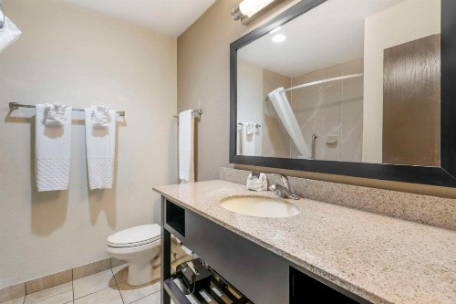 Best Western Suites Columbus - image 21