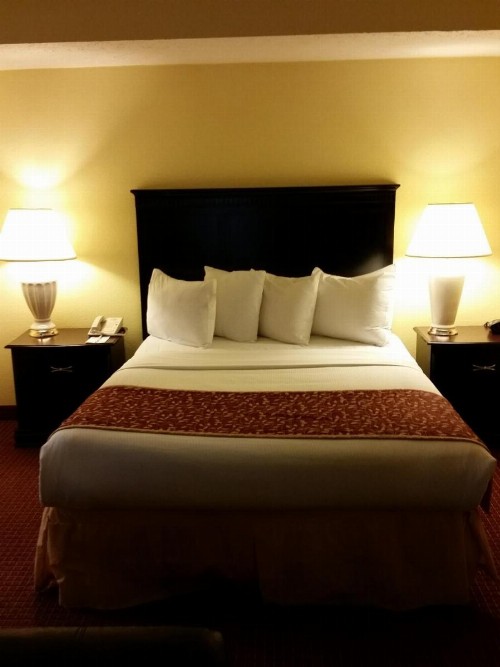Hawthorn Suites By Wyndham Columbus North - image 30