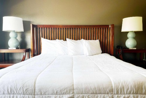 Baymont Inn and Suites by Wyndham Columbus / Near OSU - image 21