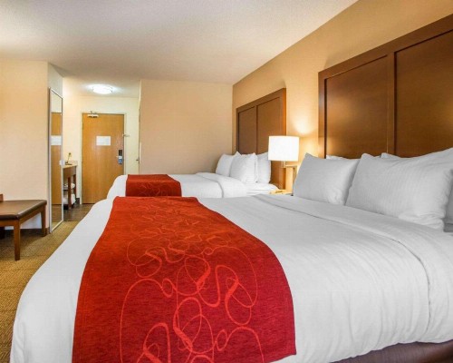 Comfort Suites Columbus West - Hilliard - image 19