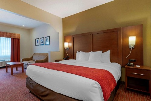 Comfort Suites Columbus - image 22