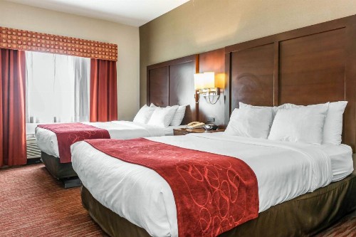 Comfort Suites Columbus - image 33