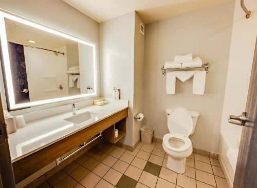 Holiday Inn Express Hotel & Suites Ohio State University- OSU Medical Center an IHG Hotel - image 22