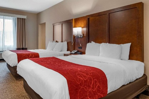 Comfort Suites Columbus Airport - image 12