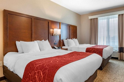 Comfort Suites Columbus Airport - image 20