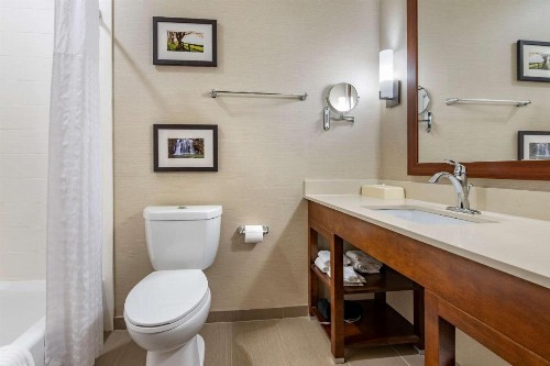 Comfort Suites Columbus Airport - image 23