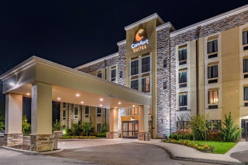 Comfort Suites Columbus Airport - image 4