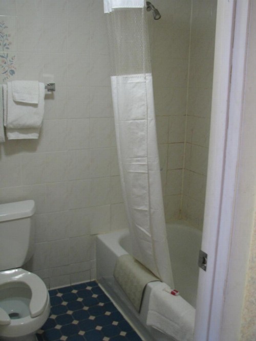 Royal Inn Motel - image 8