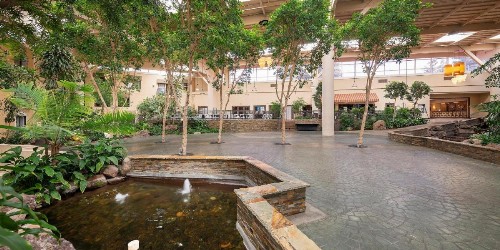 Crowne Plaza Concord - Walnut Creek an IHG Hotel - image 2