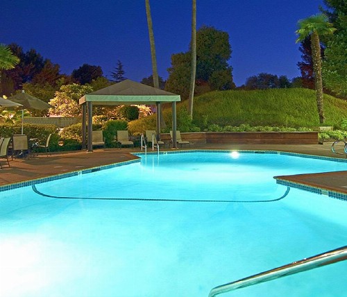 Hilton Concord - image 7