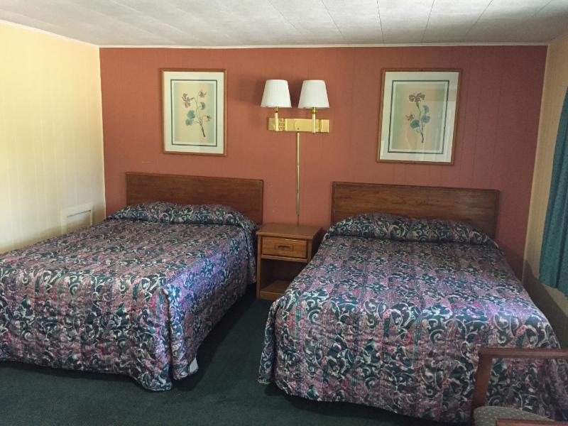 Elmwood Motor Lodge - image 2