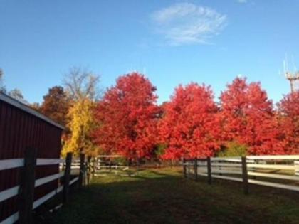 Flint Hill Farm AG 