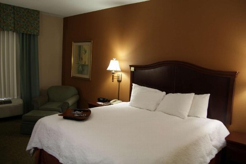 Hampton Inn Corpus Christi - Northwest I-37 - image 38