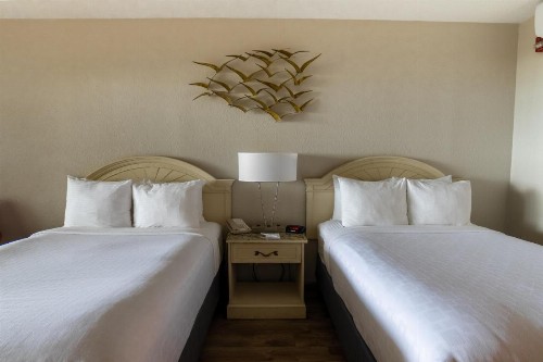 Emerald Beach Hotel Corpus Christi - image 19