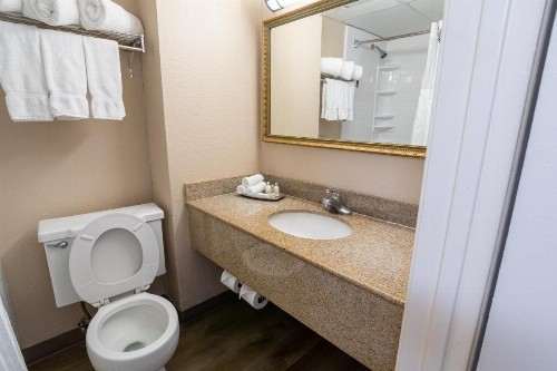 Emerald Beach Hotel Corpus Christi - image 22