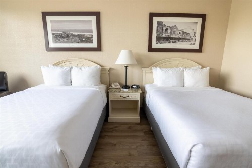 Emerald Beach Hotel Corpus Christi - image 31
