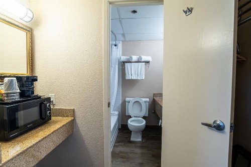 Emerald Beach Hotel Corpus Christi - image 33