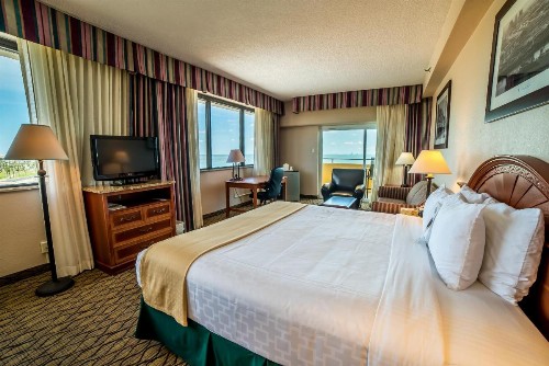 Emerald Beach Hotel Corpus Christi - image 5