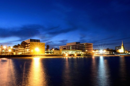 Emerald Beach Hotel Corpus Christi - image 7