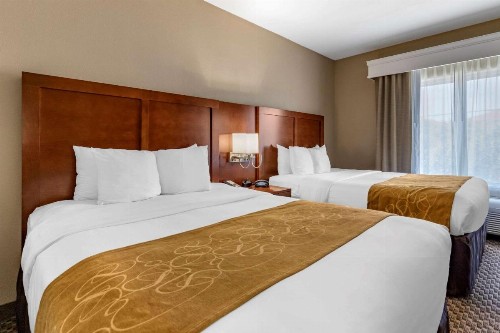 Comfort Suites Near Texas A&M Corpus Christi - image 11