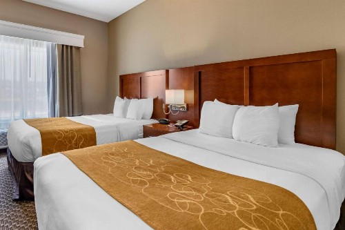 Comfort Suites Near Texas A&M Corpus Christi - image 19