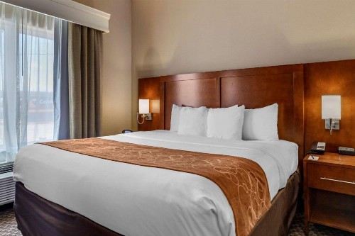 Comfort Suites Near Texas A&M Corpus Christi - image 2